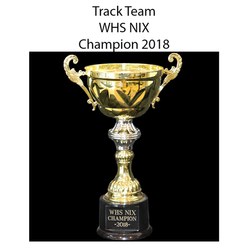Track Team WHS NIX Champion 2018 